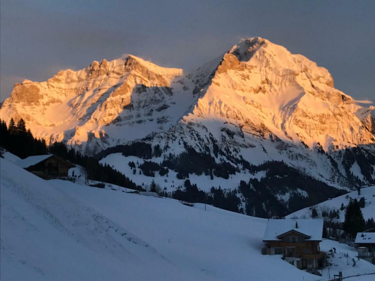 Hotel Abelied Adelboden Zewnętrze zdjęcie