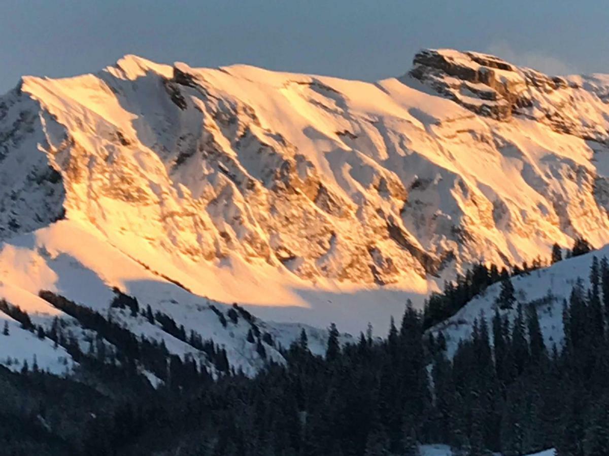Hotel Abelied Adelboden Zewnętrze zdjęcie